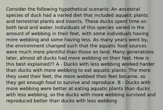 Consider the following hypothetical scenario: An ancestral species of duck had a varied diet that included aquatic plants and terrestrial plants and insects. These ducks spent time on both land and water. Individuals of this species varied in the amount of webbing in their feet, with some individuals having more webbing and some having less. As many years went by, the environment changed such that the aquatic food sources were much more plentiful than those on land. Many generations later, almost all ducks had more webbing on their feet. How is this best explained?? A - Ducks with less webbing worked harder than ducks with more webbing to eat aquatic plants. The more they used their feet, the more webbed their feet became, so they got enough food to survive and reproduce. B - Ducks with more webbing were better at eating aquatic plants than ducks with less webbing, so the ducks with more webbing survived and reproduced better than ducks with less webbing