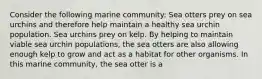 Consider the following marine community: Sea otters prey on sea urchins and therefore help maintain a healthy sea urchin population. Sea urchins prey on kelp. By helping to maintain viable sea urchin populations, the sea otters are also allowing enough kelp to grow and act as a habitat for other organisms. In this marine community, the sea otter is a