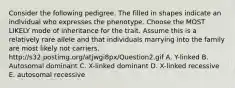 Consider the following pedigree. The filled in shapes indicate an individual who expresses the phenotype. Choose the MOST LIKELY mode of inheritance for the trait. Assume this is a relatively rare allele and that individuals marrying into the family are most likely not carriers. http://s32.postimg.org/atjwgi8px/Question2.gif A. Y-linked B. Autosomal dominant C. X-linked dominant D. X-linked recessive E. autosomal recessive