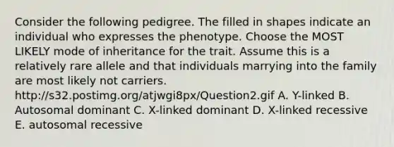 Consider the following pedigree. The filled in shapes indicate an individual who expresses the phenotype. Choose the MOST LIKELY mode of inheritance for the trait. Assume this is a relatively rare allele and that individuals marrying into the family are most likely not carriers. http://s32.postimg.org/atjwgi8px/Question2.gif A. Y-linked B. Autosomal dominant C. X-linked dominant D. X-linked recessive E. autosomal recessive