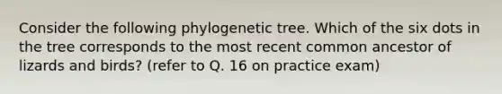 Consider the following phylogenetic tree. Which of the six dots in the tree corresponds to the most recent common ancestor of lizards and birds? (refer to Q. 16 on practice exam)