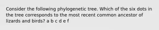 Consider the following phylogenetic tree. Which of the six dots in the tree corresponds to the most recent common ancestor of lizards and birds? a b c d e f