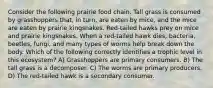 Consider the following prairie food chain. Tall grass is consumed by grasshoppers that, in turn, are eaten by mice, and the mice are eaten by prairie kingsnakes. Red-tailed hawks prey on mice and prairie kingsnakes. When a red-tailed hawk dies, bacteria, beetles, fungi, and many types of worms help break down the body. Which of the following correctly identifies a trophic level in this ecosystem? A) Grasshoppers are primary consumers. B) The tall grass is a decomposer. C) The worms are primary producers. D) The red-tailed hawk is a secondary consumer.