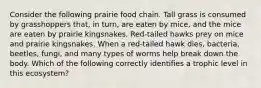 Consider the following prairie food chain. Tall grass is consumed by grasshoppers that, in turn, are eaten by mice, and the mice are eaten by prairie kingsnakes. Red-tailed hawks prey on mice and prairie kingsnakes. When a red-tailed hawk dies, bacteria, beetles, fungi, and many types of worms help break down the body. Which of the following correctly identifies a trophic level in this ecosystem?