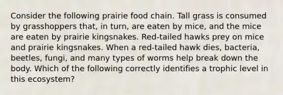 Consider the following prairie food chain. Tall grass is consumed by grasshoppers that, in turn, are eaten by mice, and the mice are eaten by prairie kingsnakes. Red-tailed hawks prey on mice and prairie kingsnakes. When a red-tailed hawk dies, bacteria, beetles, fungi, and many types of worms help break down the body. Which of the following correctly identifies a trophic level in this ecosystem?