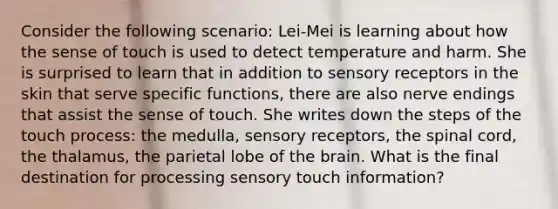 Consider the following scenario: Lei-Mei is learning about how the sense of touch is used to detect temperature and harm. She is surprised to learn that in addition to sensory receptors in the skin that serve specific functions, there are also nerve endings that assist the sense of touch. She writes down the steps of the touch process: the medulla, sensory receptors, the spinal cord, the thalamus, the parietal lobe of the brain. What is the final destination for processing sensory touch information?