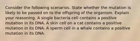 Consider the following scenarios. State whether the mutation is likely to be passed on to the offspring of the organism. Explain your reasoning. A single bacteria cell contains a positive mutation in its DNA. A skin cell on a cat contains a positive mutation in its DNA. A sperm cell in a whale contains a positive mutation in its DNA.