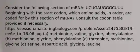 Consider the following section of mRNA: UCUGAUGGGCUUU Beginning with the start codon, which amino acids, in order, are coded for by this section of mRNA? Consult the codon table provided if necessary. https://session.masteringbiology.com/problemAsset/2475588/1/free6e_tb_16.06.jpg (a) methionine, valine, glycine, phenylalanine (b) methionine, glycine, phenylalanine (c) threonine, methionine, glycine (d) serine, aspartic acid, glycine, leucine