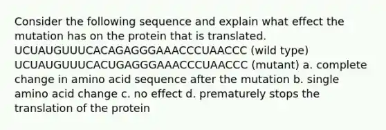 Consider the following sequence and explain what effect the mutation has on the protein that is translated. UCUAUGUUUCACAGAGGGAAACCCUAACCC (wild type) UCUAUGUUUCACUGAGGGAAACCCUAACCC (mutant) a. complete change in amino acid sequence after the mutation b. single amino acid change c. no effect d. prematurely stops the translation of the protein