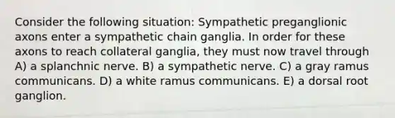 Consider the following situation: Sympathetic preganglionic axons enter a sympathetic chain ganglia. In order for these axons to reach collateral ganglia, they must now travel through A) a splanchnic nerve. B) a sympathetic nerve. C) a gray ramus communicans. D) a white ramus communicans. E) a dorsal root ganglion.