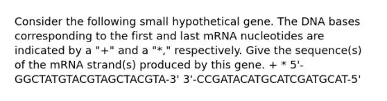 Consider the following small hypothetical gene. The DNA bases corresponding to the first and last mRNA nucleotides are indicated by a "+" and a "*," respectively. Give the sequence(s) of the mRNA strand(s) produced by this gene. + * 5'-GGCTATGTACGTAGCTACGTA-3' 3'-CCGATACATGCATCGATGCAT-5'