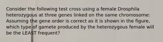 Consider the following test cross using a female Drosphila heterozygous at three genes linked on the same chromosome: Assuming the gene order is correct as it is shown in the figure, which type of gamete produced by the heterozygous female will be the LEAST frequent?