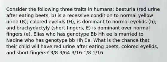 Consider the following three traits in humans: beeturia (red urine after eating beets, b) is a recessive condition to normal yellow urine (B); colored eyelids (H), is dominant to normal eyelids (h); and brachydactyly (short fingers, E) is dominant over normal fingers (e). Elias who has genotype Bb Hh ee is married to Nadine who has genotype bb Hh Ee. What is the chance that their child will have red urine after eating beets, colored eyelids, and short fingers? 3/8 3/64 3/16 1/8 1/16