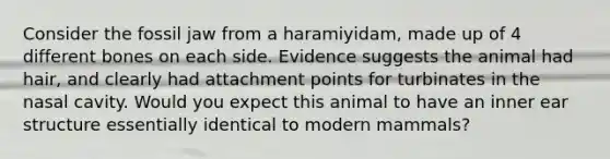 Consider the fossil jaw from a haramiyidam, made up of 4 different bones on each side. Evidence suggests the animal had hair, and clearly had attachment points for turbinates in the nasal cavity. Would you expect this animal to have an inner ear structure essentially identical to modern mammals?