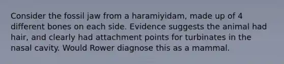 Consider the fossil jaw from a haramiyidam, made up of 4 different bones on each side. Evidence suggests the animal had hair, and clearly had attachment points for turbinates in the nasal cavity. Would Rower diagnose this as a mammal.