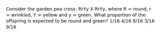 Consider the garden pea cross: RrYy X RrYy, where R = round, r = wrinkled, Y = yellow and y = green. What proportion of the offspring is expected to be round and green? 1/16 4/16 8/16 3/16 9/16