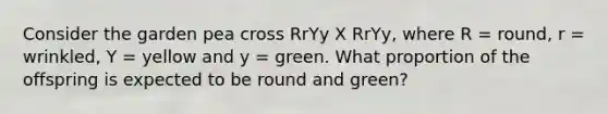 Consider the garden pea cross RrYy X RrYy, where R = round, r = wrinkled, Y = yellow and y = green. What proportion of the offspring is expected to be round and green?