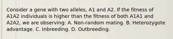 Consider a gene with two alleles, A1 and A2. If the fitness of A1A2 individuals is higher than the fitness of both A1A1 and A2A2, we are observing: A. Non-random mating. B. Heterozygote advantage. C. Inbreeding. D. Outbreeding.