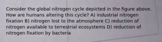 Consider the global nitrogen cycle depicted in the figure above. How are humans altering this cycle? A) industrial nitrogen fixation B) nitrogen lost to the atmosphere C) reduction of nitrogen available to terrestrial ecosystems D) reduction of nitrogen fixation by bacteria