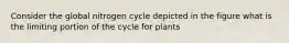 Consider the global nitrogen cycle depicted in the figure what is the limiting portion of the cycle for plants