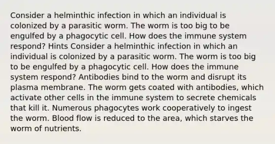 Consider a helminthic infection in which an individual is colonized by a parasitic worm. The worm is too big to be engulfed by a phagocytic cell. How does the immune system respond? Hints Consider a helminthic infection in which an individual is colonized by a parasitic worm. The worm is too big to be engulfed by a phagocytic cell. How does the immune system respond? Antibodies bind to the worm and disrupt its plasma membrane. The worm gets coated with antibodies, which activate other cells in the immune system to secrete chemicals that kill it. Numerous phagocytes work cooperatively to ingest the worm. Blood flow is reduced to the area, which starves the worm of nutrients.