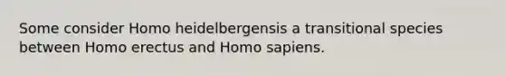 Some consider Homo heidelbergensis a transitional species between Homo erectus and Homo sapiens.