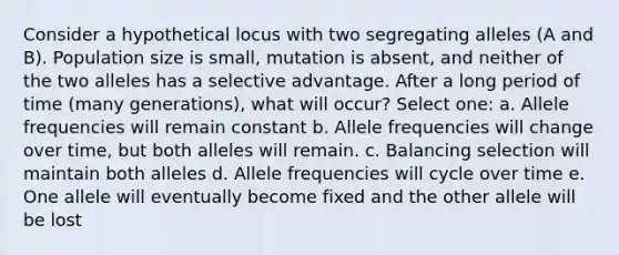 Consider a hypothetical locus with two segregating alleles (A and B). Population size is small, mutation is absent, and neither of the two alleles has a selective advantage. After a long period of time (many generations), what will occur? Select one: a. Allele frequencies will remain constant b. Allele frequencies will change over time, but both alleles will remain. c. Balancing selection will maintain both alleles d. Allele frequencies will cycle over time e. One allele will eventually become fixed and the other allele will be lost