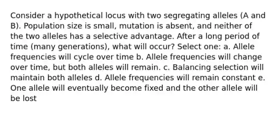 Consider a hypothetical locus with two segregating alleles (A and B). Population size is small, mutation is absent, and neither of the two alleles has a selective advantage. After a long period of time (many generations), what will occur? Select one: a. Allele frequencies will cycle over time b. Allele frequencies will change over time, but both alleles will remain. c. Balancing selection will maintain both alleles d. Allele frequencies will remain constant e. One allele will eventually become fixed and the other allele will be lost