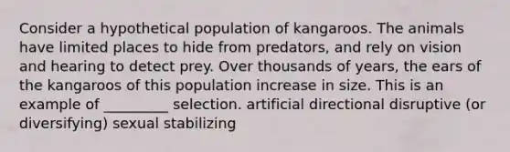 Consider a hypothetical population of kangaroos. The animals have limited places to hide from predators, and rely on vision and hearing to detect prey. Over thousands of years, the ears of the kangaroos of this population increase in size. This is an example of _________ selection. artificial directional disruptive (or diversifying) sexual stabilizing