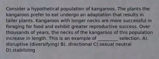 Consider a hypothetical population of kangaroos. The plants the kangaroos prefer to eat undergo an adaptation that results in taller plants. Kangaroos with longer necks are more successful in foraging for food and exhibit greater reproductive success. Over thousands of years, the necks of the kangaroos of this population increase in length. This is an example of _________ selection. A). disruptive (diversifying) B). directional C).sexual neutral D).stabilizing