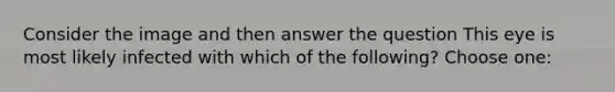 Consider the image and then answer the question This eye is most likely infected with which of the following? Choose one: