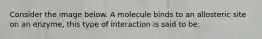 Consider the image below. A molecule binds to an allosteric site on an enzyme, this type of interaction is said to be: