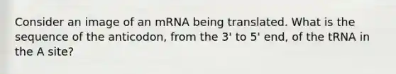 Consider an image of an mRNA being translated. What is the sequence of the anticodon, from the 3' to 5' end, of the tRNA in the A site?