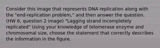 Consider this image that represents <a href='https://www.questionai.com/knowledge/kofV2VQU2J-dna-replication' class='anchor-knowledge'>dna replication</a> along with the "end-replication problem," and then answer the question. (HW 6, question 2 image) "Lagging strand incompletely replicated" Using your knowledge of telomerase enzyme and chromosomal size, choose the statement that correctly describes the information in the figure.