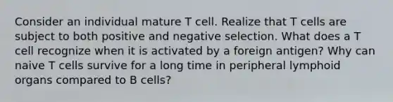 Consider an individual mature T cell. Realize that T cells are subject to both positive and negative selection. What does a T cell recognize when it is activated by a foreign antigen? Why can naive T cells survive for a long time in peripheral lymphoid organs compared to B cells?