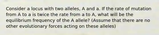 Consider a locus with two alleles, A and a. If the rate of mutation from A to a is twice the rate from a to A, what will be the equilibrium frequency of the A allele? (Assume that there are no other evolutionary forces acting on these alleles)