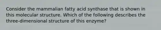 Consider the mammalian fatty acid synthase that is shown in this molecular structure. Which of the following describes the three-dimensional structure of this enzyme?