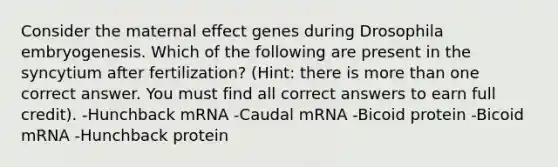 Consider the maternal effect genes during Drosophila embryogenesis. Which of the following are present in the syncytium after fertilization? (Hint: there is more than one correct answer. You must find all correct answers to earn full credit). -Hunchback mRNA -Caudal mRNA -Bicoid protein -Bicoid mRNA -Hunchback protein