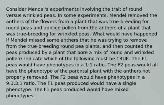 Consider Mendel's experiments involving the trait of round versus wrinkled peas. In some experiments, Mendel removed the anthers of the flowers from a plant that was true-breeding for round peas and applied pollen from the anthers of a plant that was true-breeding for wrinkled peas. What would have happened if Mendel missed some anthers that he was trying to remove from the true-breeding round pea plants, and then counted the peas produced by a plant that bore a mix of round and wrinkled pollen? Indicate which of the following must be TRUE. The F1 peas would have phenotypes in a 1:1 ratio. The F2 peas would all have the phenotype of the parental plant with the anthers not properly removed. The F2 peas would have phenotypes in a 9:3:3:1 ratio. The F1 peas produced would have a single phenotype. The F1 peas produced would have mixed phenotypes.