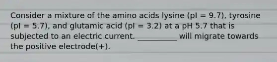 Consider a mixture of the amino acids lysine (pI = 9.7), tyrosine (pI = 5.7), and glutamic acid (pI = 3.2) at a pH 5.7 that is subjected to an electric current. __________ will migrate towards the positive electrode(+).