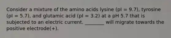 Consider a mixture of the <a href='https://www.questionai.com/knowledge/k9gb720LCl-amino-acids' class='anchor-knowledge'>amino acids</a> lysine (pI = 9.7), tyrosine (pI = 5.7), and glutamic acid (pI = 3.2) at a pH 5.7 that is subjected to an electric current. ________ will migrate towards the positive electrode(+).