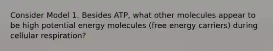 Consider Model 1. Besides ATP, what other molecules appear to be high potential energy molecules (free energy carriers) during cellular respiration?