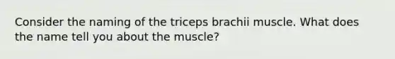 Consider the naming of the triceps brachii muscle. What does the name tell you about the muscle?