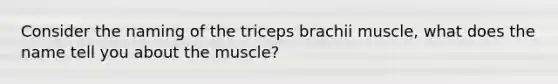 Consider the naming of the triceps brachii muscle, what does the name tell you about the muscle?