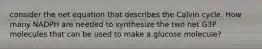 consider the net equation that describes the Calvin cycle. How many NADPH are needed to synthesize the two net G3P molecules that can be used to make a glucose molecule?