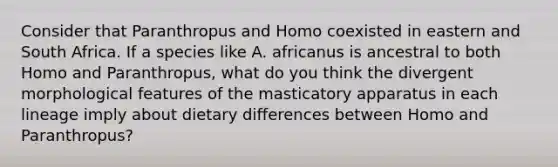 Consider that Paranthropus and Homo coexisted in eastern and South Africa. If a species like A. africanus is ancestral to both Homo and Paranthropus, what do you think the divergent morphological features of the masticatory apparatus in each lineage imply about dietary differences between Homo and Paranthropus?