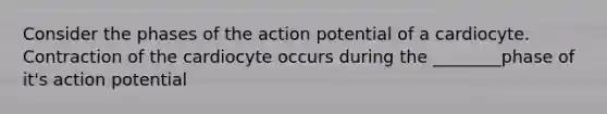 Consider the phases of the action potential of a cardiocyte. Contraction of the cardiocyte occurs during the ________phase of it's action potential