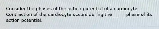 Consider the phases of the action potential of a cardiocyte. Contraction of the cardiocyte occurs during the _____ phase of its action potential.