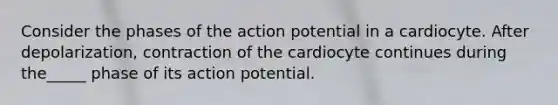 Consider the phases of the action potential in a cardiocyte. After depolarization, contraction of the cardiocyte continues during the_____ phase of its action potential.