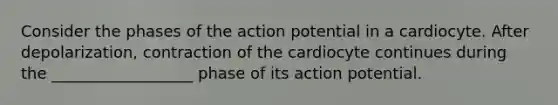 Consider the phases of the action potential in a cardiocyte. After depolarization, contraction of the cardiocyte continues during the __________________ phase of its action potential.